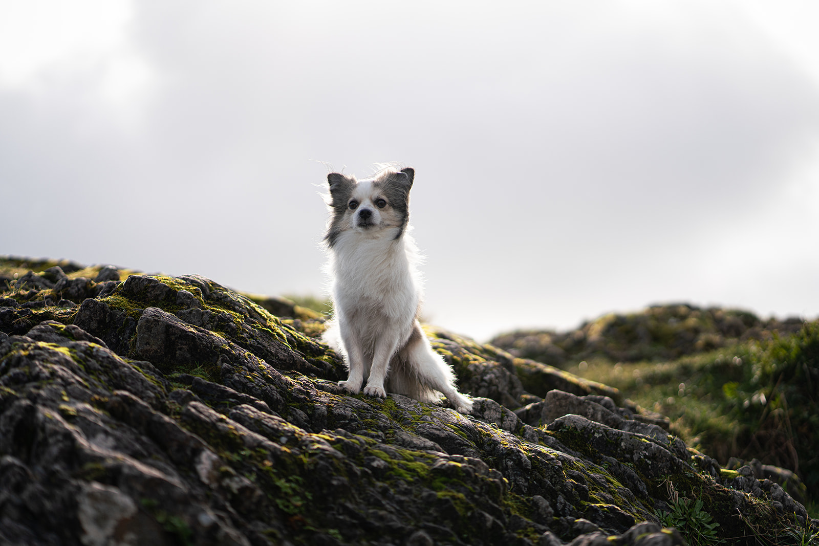 Beautiful-Life-Studios-BC-Tofino-Photographer