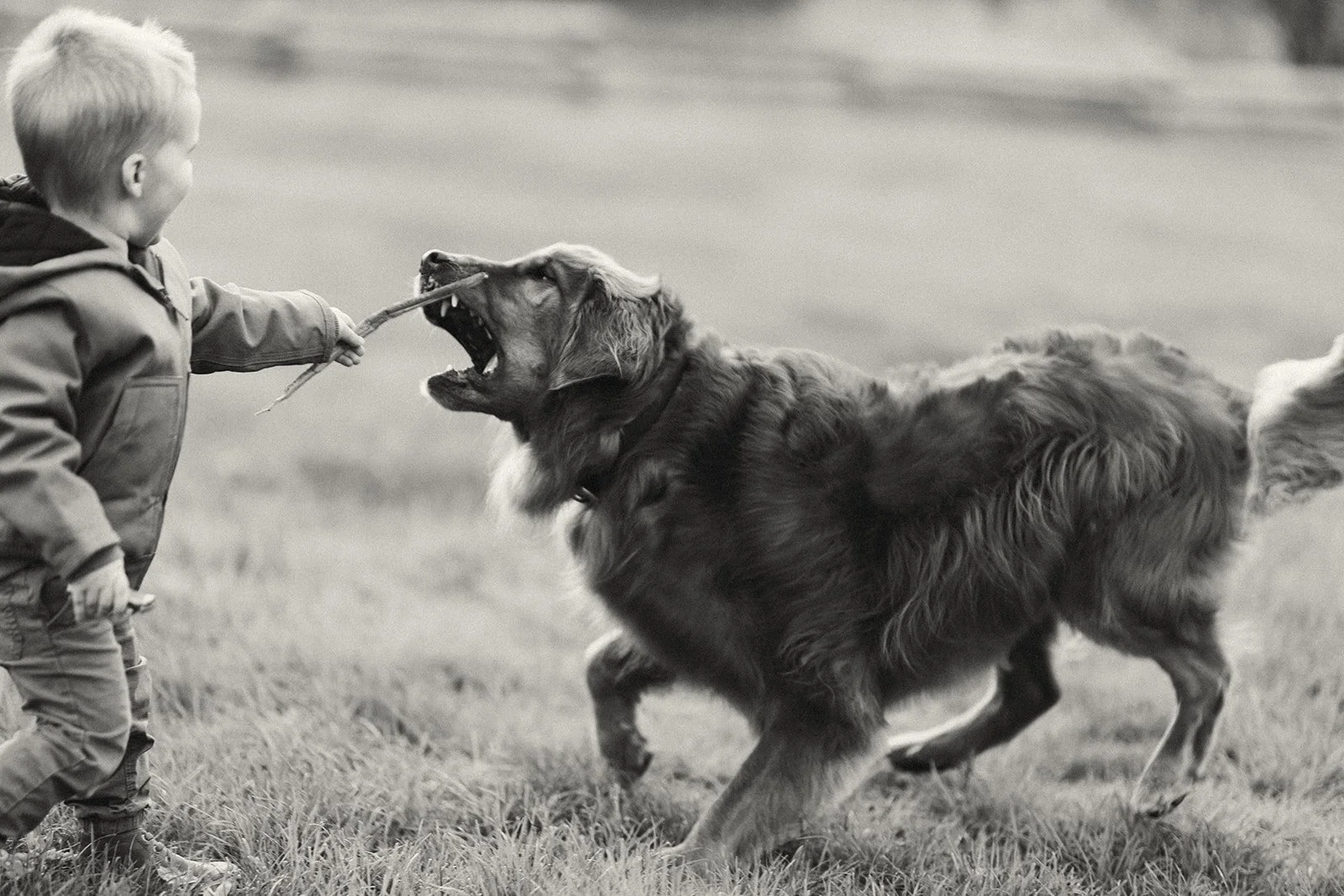 Beautiful-Life-Studio-BC-Family-Shoot-Vancouver-Family-Photographer